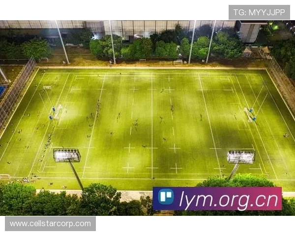 体育直播安卓版功能全面解析助你轻松掌握赛事直播和互动体验