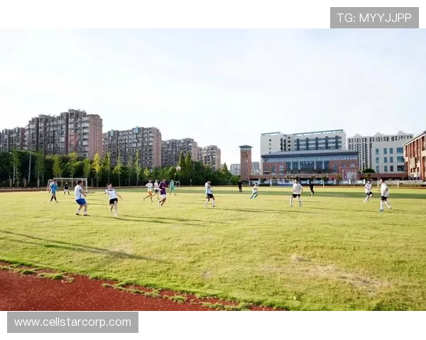 新利体育登录平台最新安全保障措施全面升级助你畅享无忧体育赛事体验