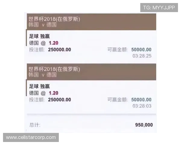 买球app十大排行全景解读,助力体育迷在世界杯期间选择优质投注平台 买球app十大排行全景解读,助力体育迷在世界杯期间选择优质投注平台
